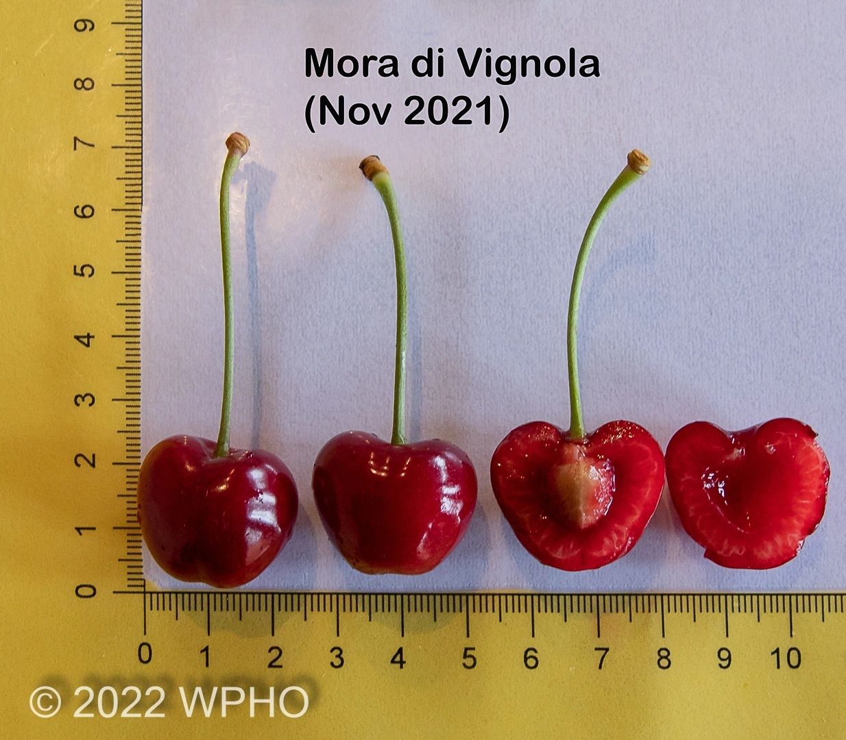 Mora Di Vignola - Image 5