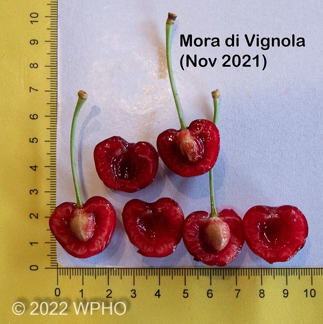 Mora Di Vignola - Image 6