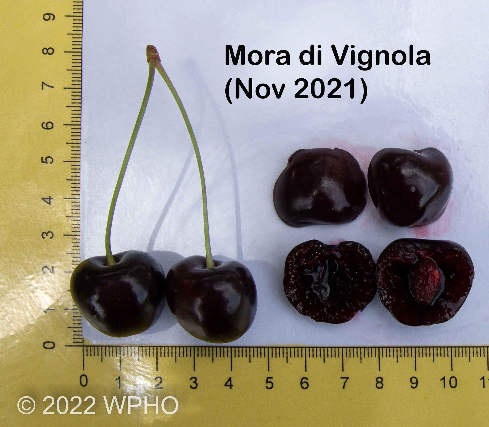 Mora Di Vignola - Image 4