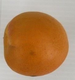 Harogem - Image 2