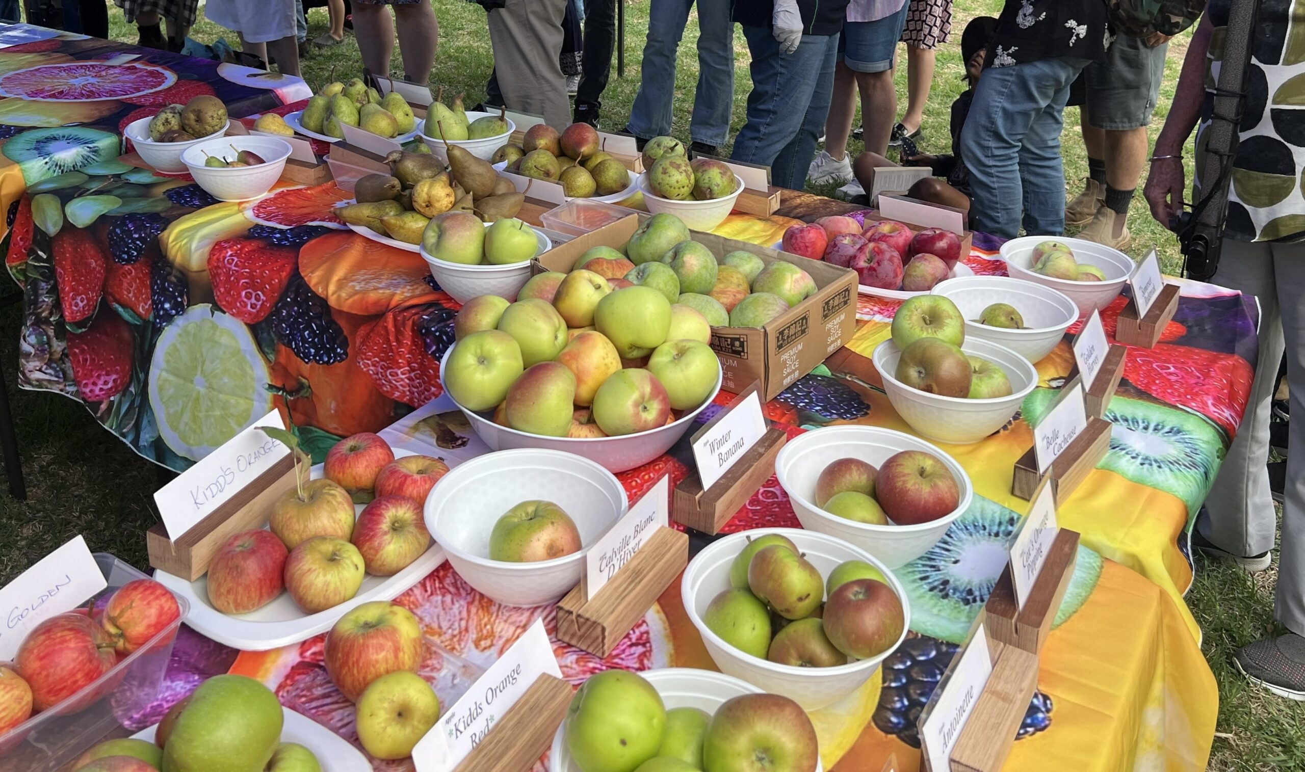 Fruit Tasting